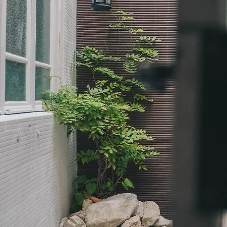 Siglas & Runas Ii منزل للإقامة *