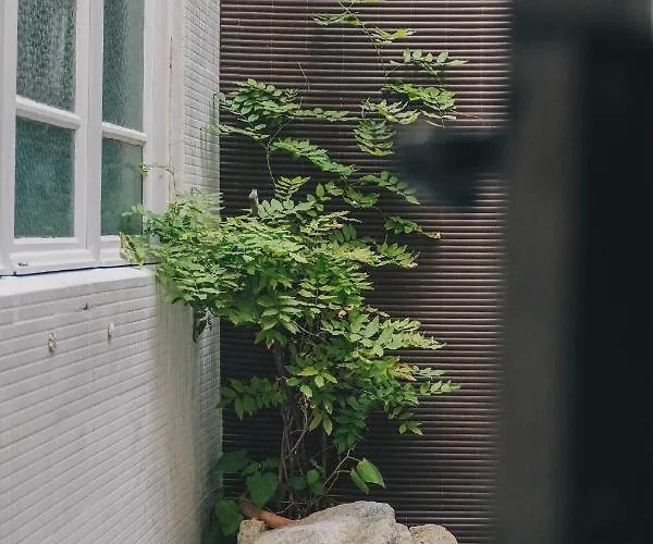 Siglas & Runas Ii Проживание в семье *